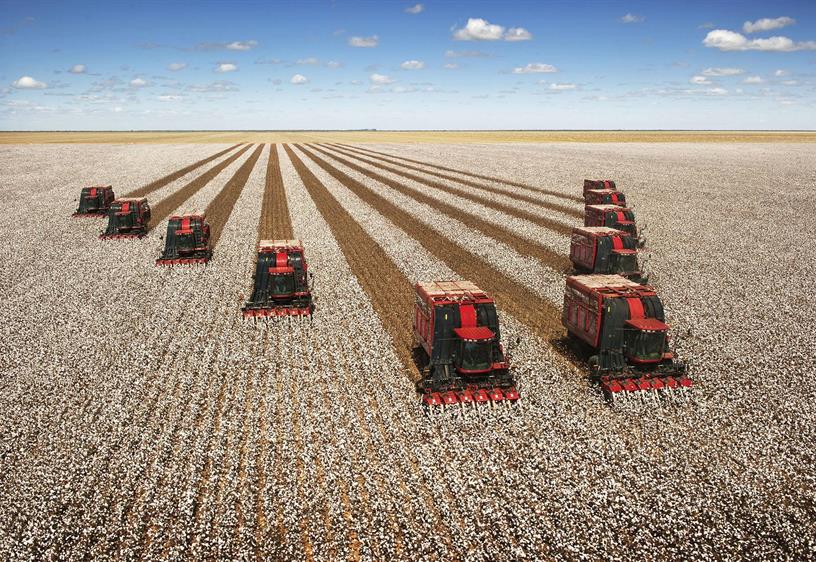 Cotton Express 620