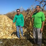 Dia de campo milho safrinha Alto Garças