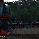 Lançamento Axial Flow 130 – Rondonópolis