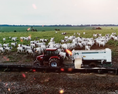 Agrofito Case expõe tratores para agricultura familiar na Farm Show 2019